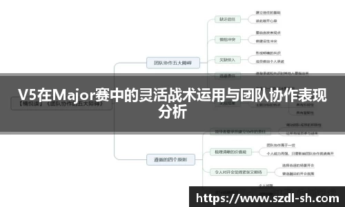 V5在Major赛中的灵活战术运用与团队协作表现分析