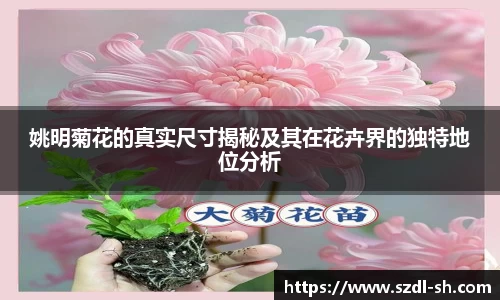 XK星空体育(中国)集团