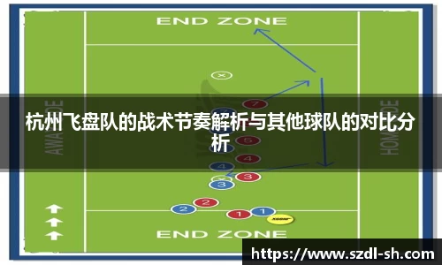 杭州飞盘队的战术节奏解析与其他球队的对比分析