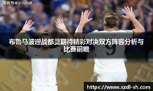 xk体育官网