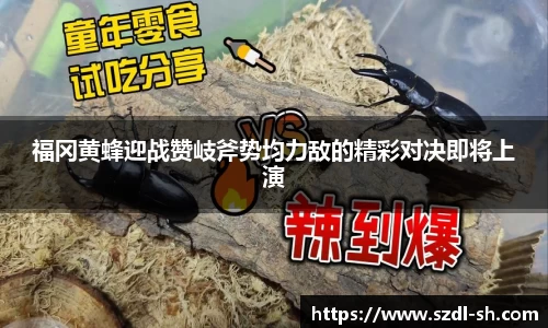 福冈黄蜂迎战赞岐斧势均力敌的精彩对决即将上演