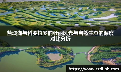 XK星空体育(中国)集团